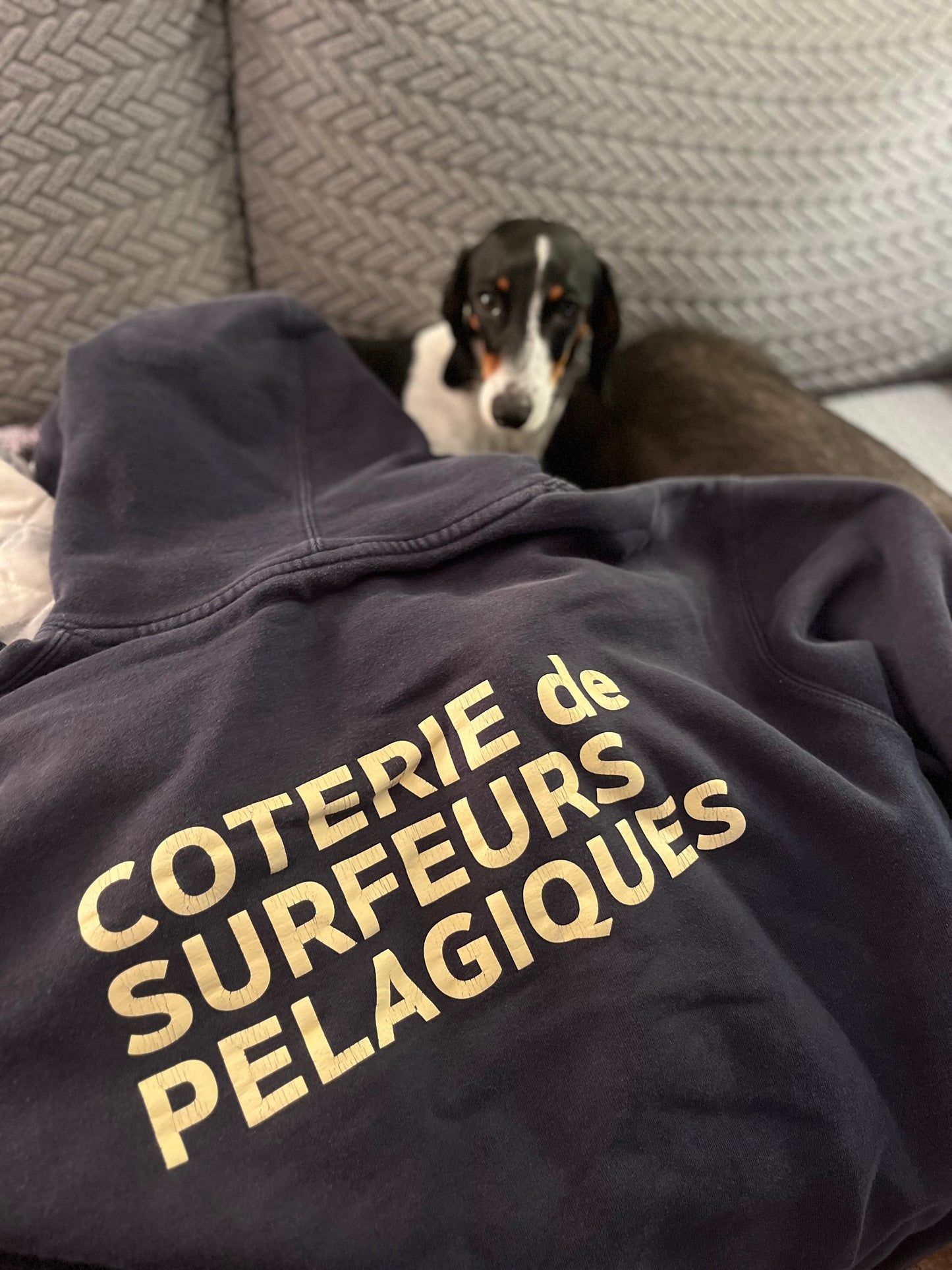 Coterie de Surfeurs Pelagiques Hoodie.