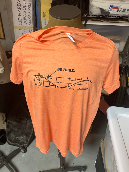 Origin of Swell T