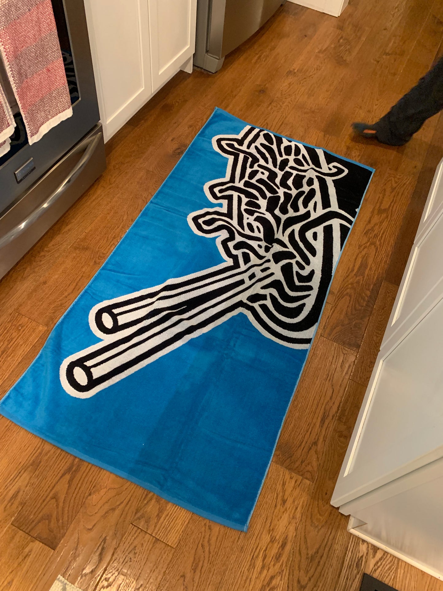 Noodle Beach Towel